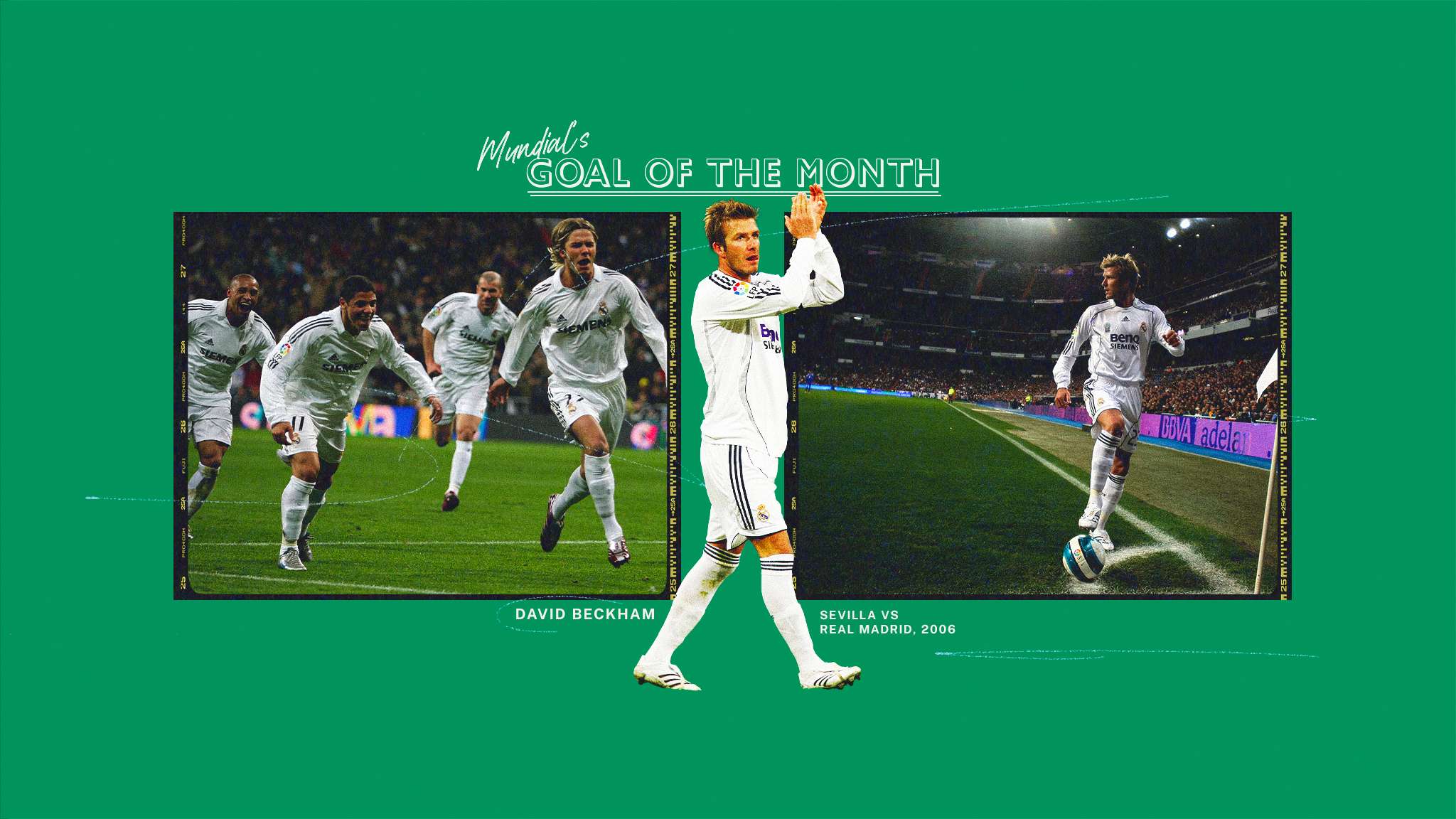 象代言和商 象代言和商