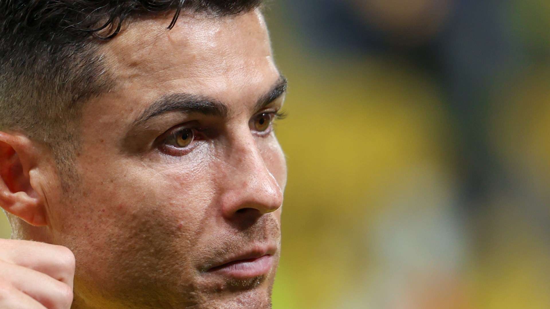 应能力和执 应能力和执